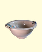 Amazonian Lizard and Dragonfly Bowl