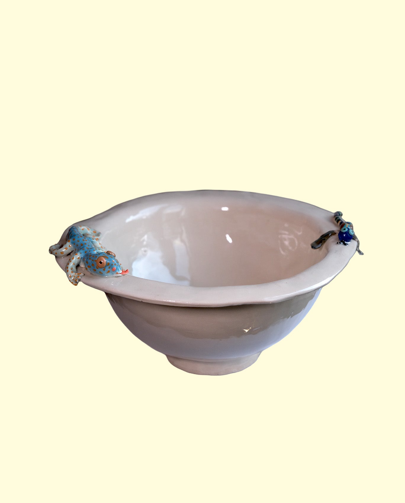 Amazonian Lizard and Dragonfly Bowl